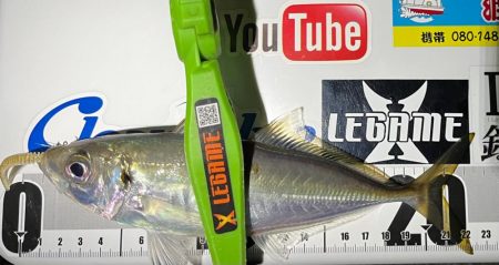 絶好釣アジング