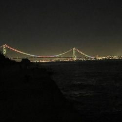 エギがダメなら…