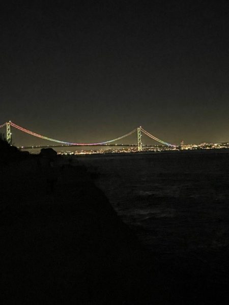 エギがダメなら…