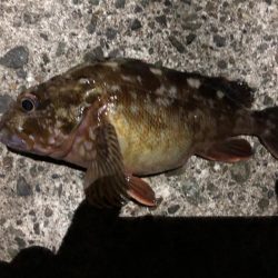 自作ロッドのデビュー戦