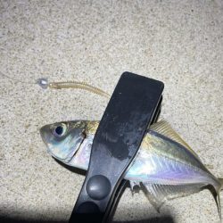 ナイトアジング