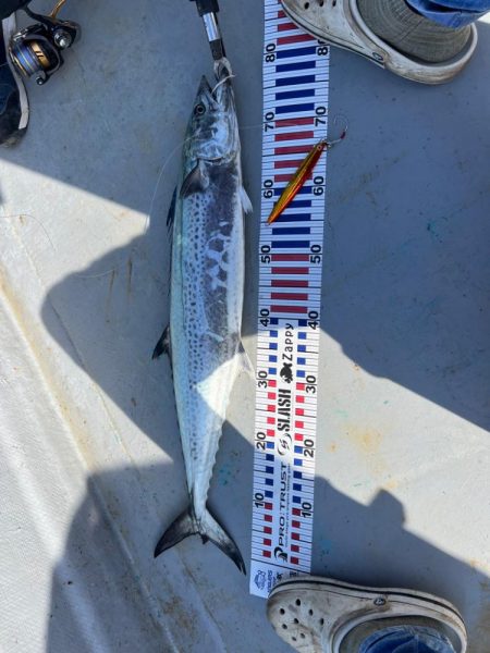 今年最後かな？