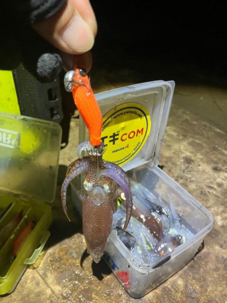 まだまだヒイカ釣れますよ(^.^)