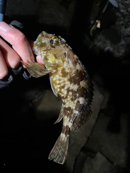 爆風ライトゲーム