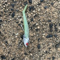 ショアジギング