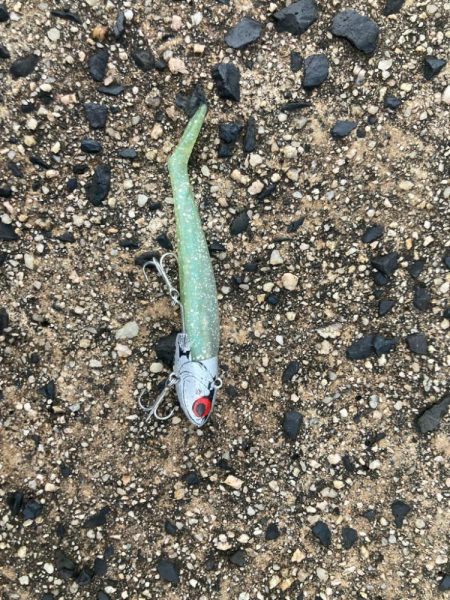 ショアジギング