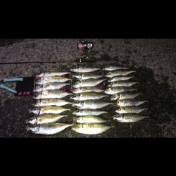 ヘッドライトわすれた!!!!