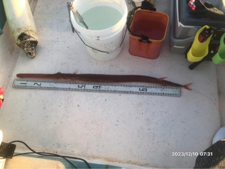 12/10 伊島沖ジギング