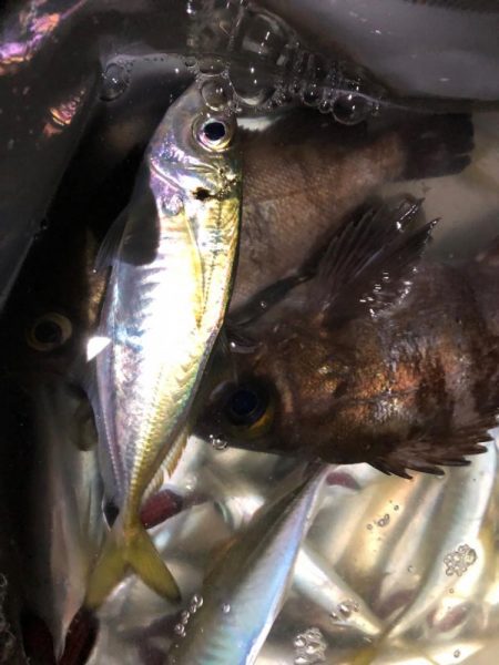 ライトゲーム手巻き寿司弁当