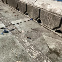 なんじゃこりゃ