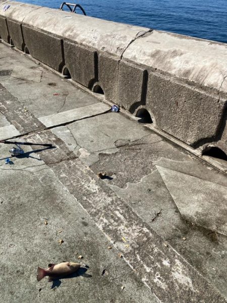 なんじゃこりゃ