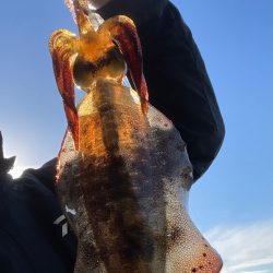 海からのメリクリ❣️