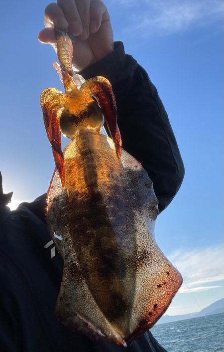 海からのメリクリ❣️