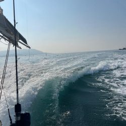 激しぶでもなんとか…