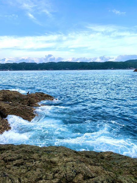 12月中最初のグレ釣り