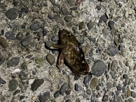 爆風ライトゲーム