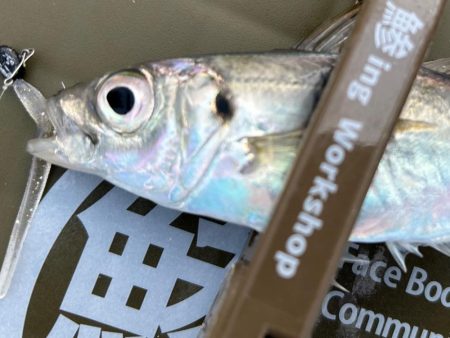 夕方の破壊力を堪能