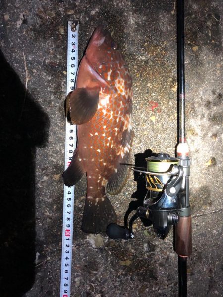 父への誕生日プレゼント