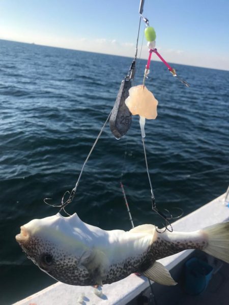 別府沖のカットウ釣り