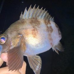 2023ライトゲーム第46戦