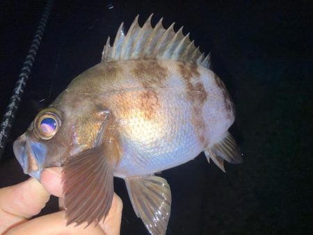 2023ライトゲーム第46戦