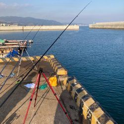 カレイ釣り