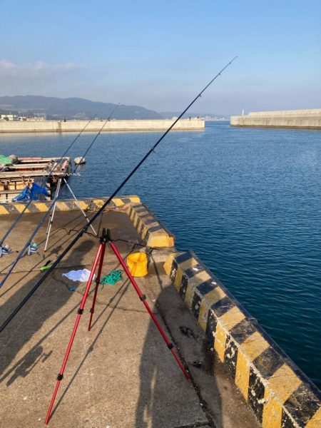 カレイ釣り