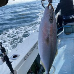 今年の釣り納めは明石で