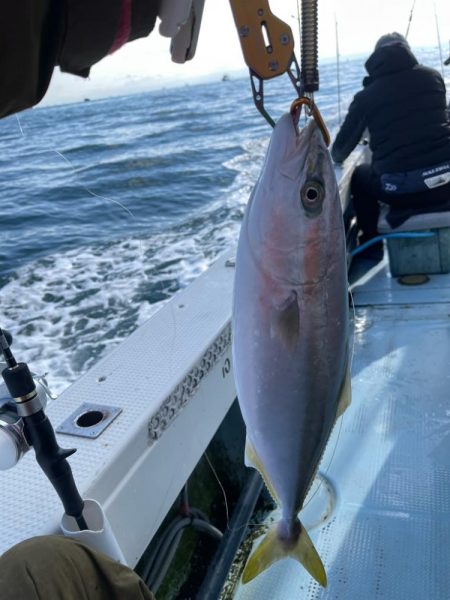 今年の釣り納めは明石で