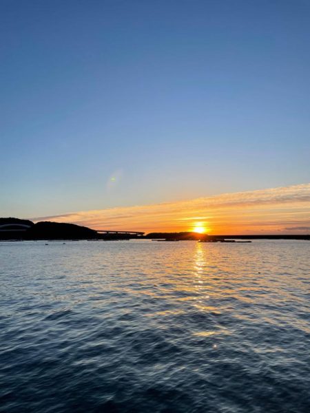 尺アジ釣れました！