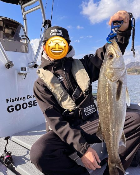 ボートシーバス