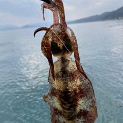 今年最後の大潮調査！