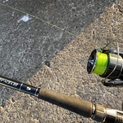 まちがいなくまごち！