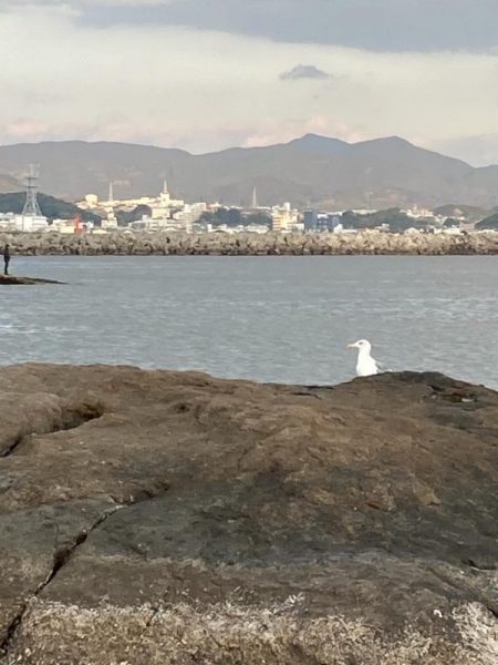 冬のキロオーバーが釣りたかったのにね。。