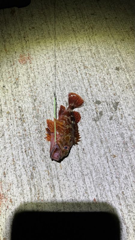 年来ラスト翼 坊主逃れで五目達成