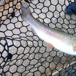 ボトムスプーン強し