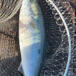 爆風すぎて大変…