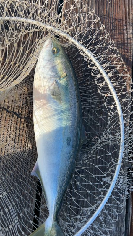 爆風すぎて大変…