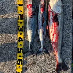 ショアジギング