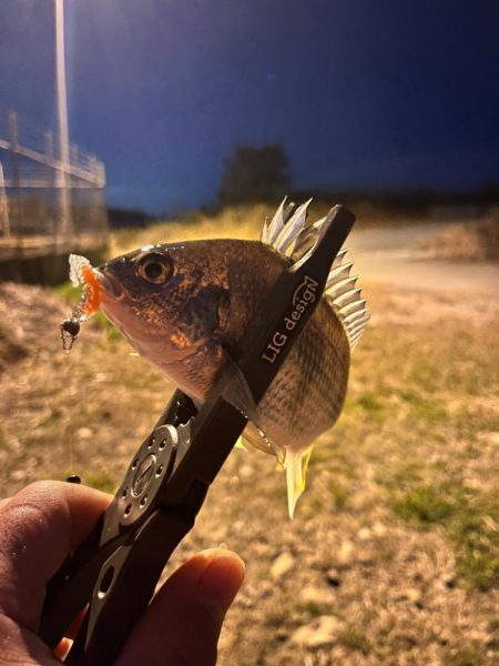 姫路ライトゲーム