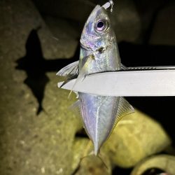 爆風ライトゲーム