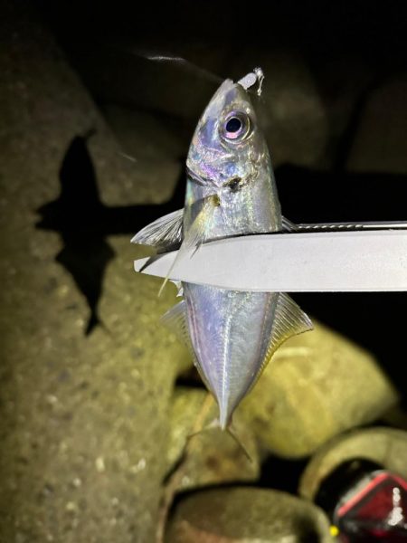 爆風ライトゲーム