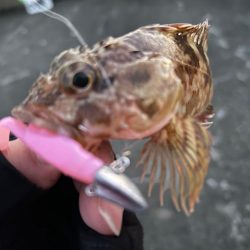 年末釣行の結末