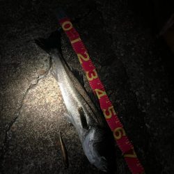 お痩せのようで⁉︎