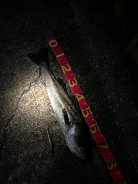 お痩せのようで⁉︎