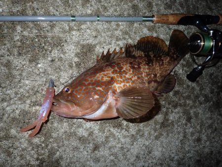 ミッドワインドで良型狙いの夜