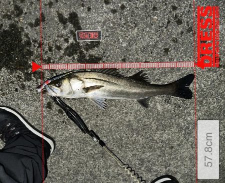 やっぱりいたっ！