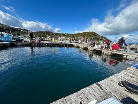 海上釣り堀 海恵