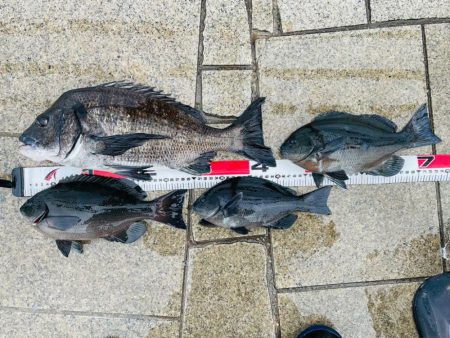 珍しく人がいない翼港