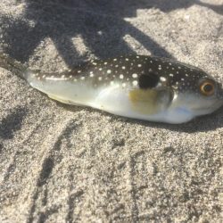 釣り納め　福を呼ぶ